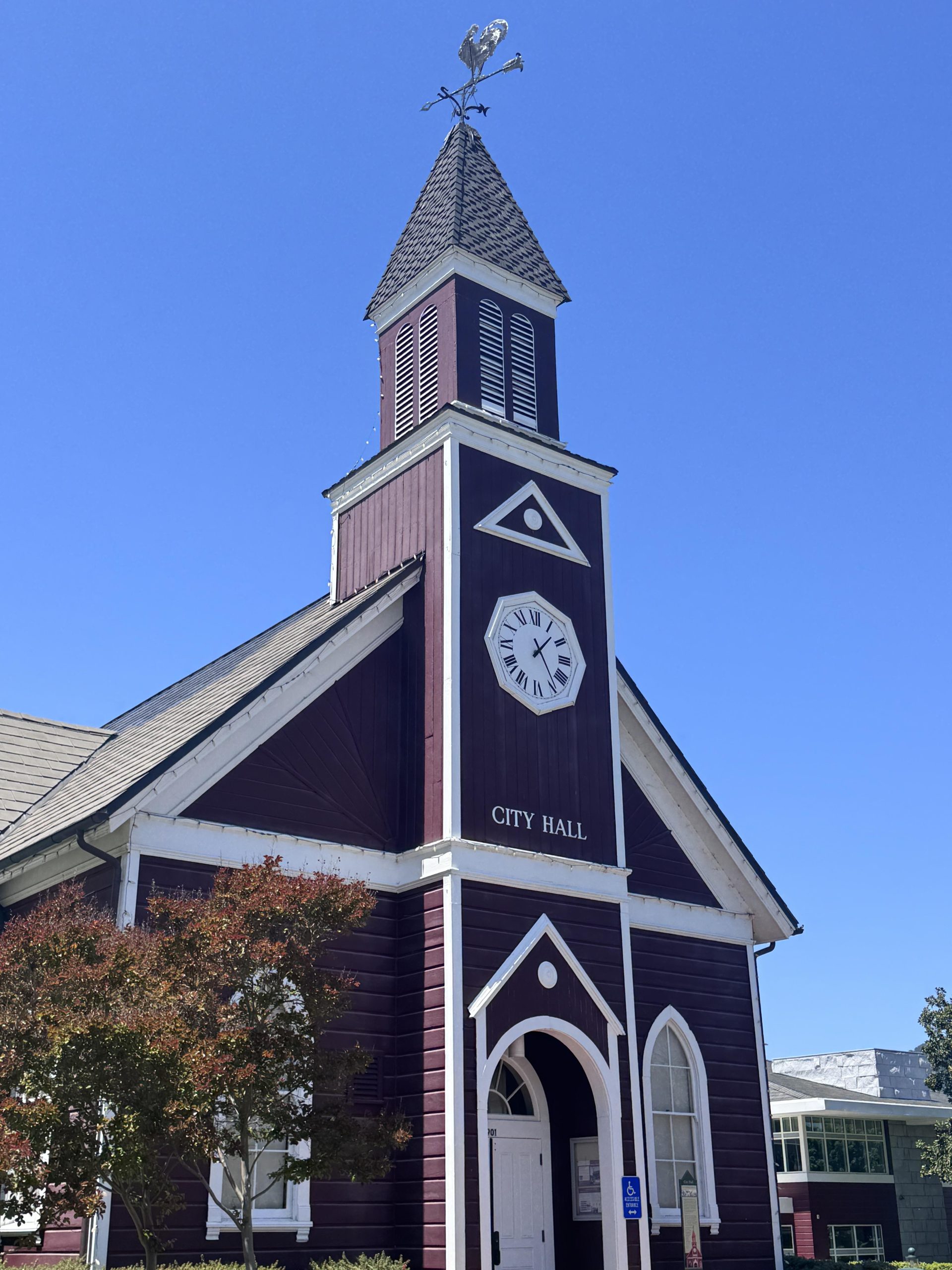 Novato1